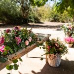 Finca Las Margas - Luau Fotografia-18